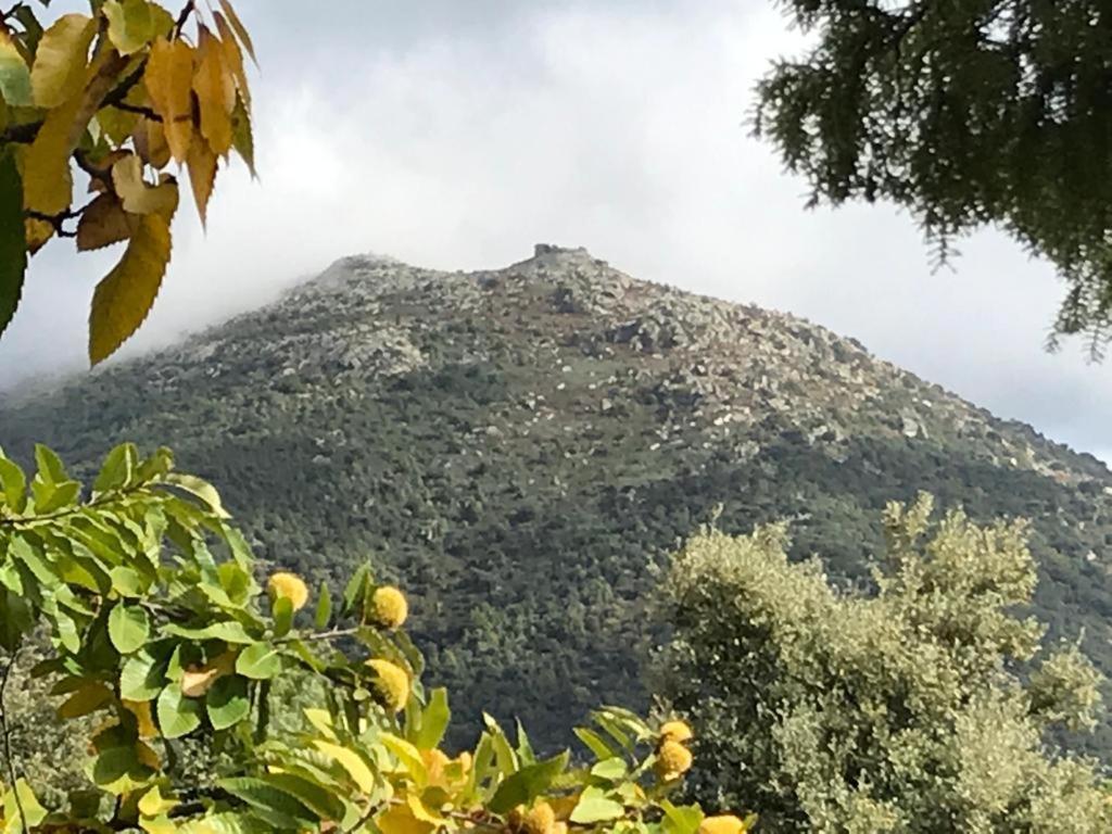 Raices, Sierra De San Vicente Ferienhaus San Román